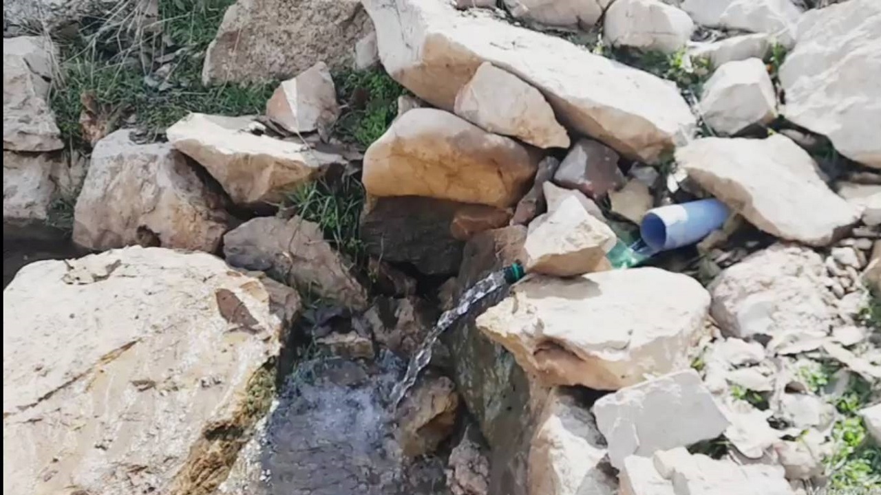 جوشش چشمه بانسار در دل طبیعت روستای تفلی سروآباد + فیلم