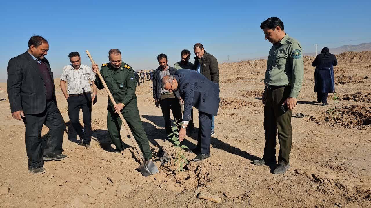 کاشت نهال به یاد شهدا