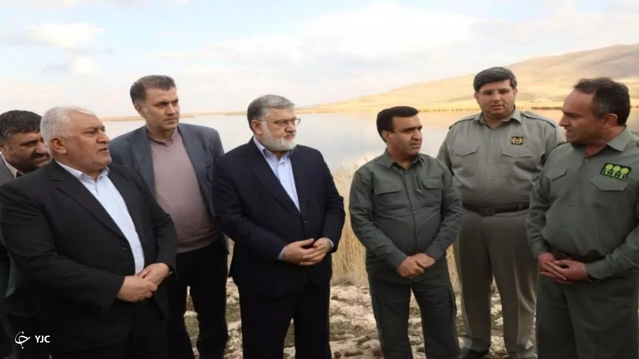 تنوع زیستی تالاب کانی‌برازان مهاباد بی‌نظیر است