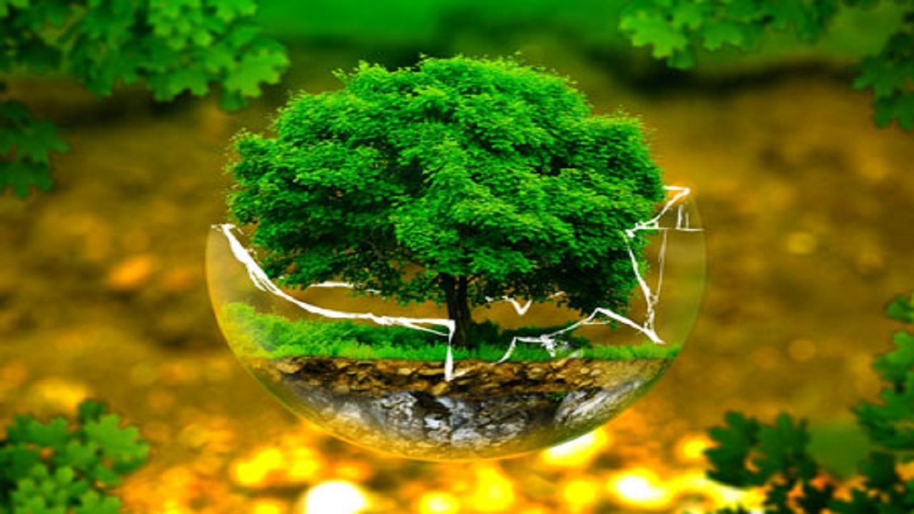 اهدای نهال به شهروندان یزدی به مناسبت روز درختکاری
