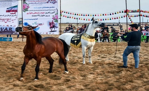 فستیوال اسب اصیل ایرانی