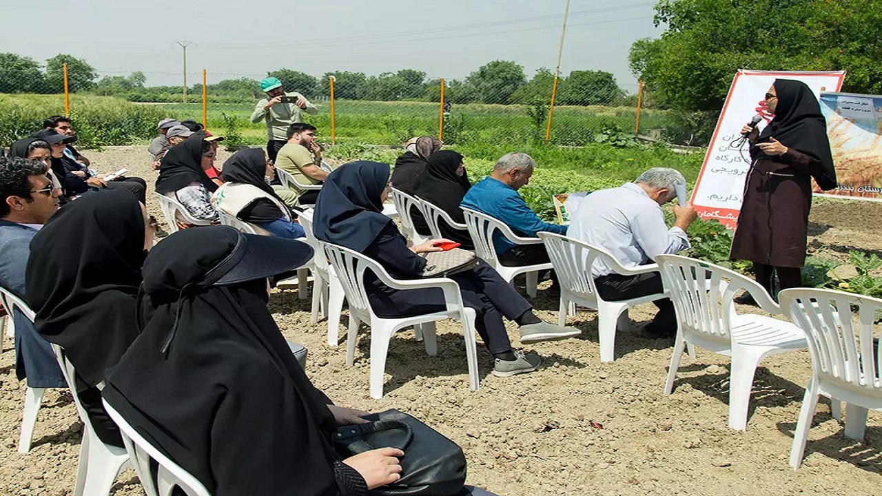 طرح تکام و تقویت تسهیل گران روستایی در استان قزوین