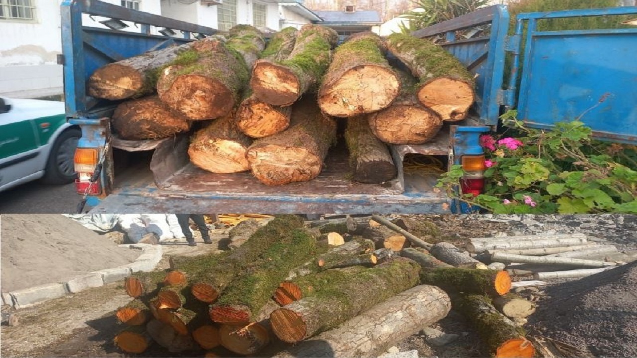 کشف ۵ تن چوب قاچاق در سیاهکل