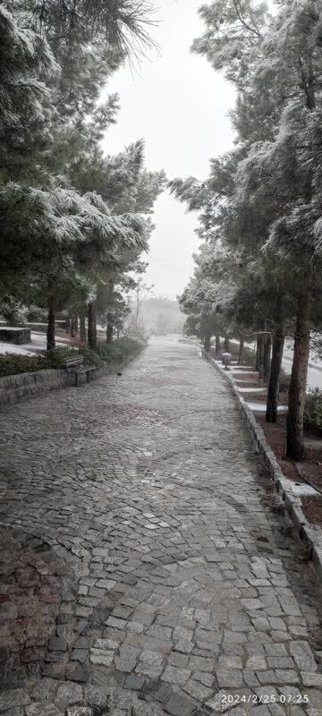 بارش برف در کوه صفه