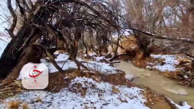 تصاویر بارش برف در طبیعت زیبای رودخانه سمیرم + فیلم
