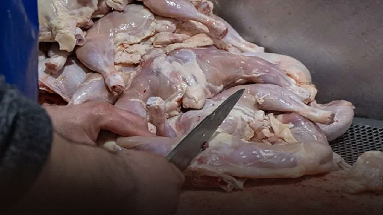 ضبط ۱۰۰ کیلوگرم مرغ قطعه بندی شده غیرمجاز در قزوین