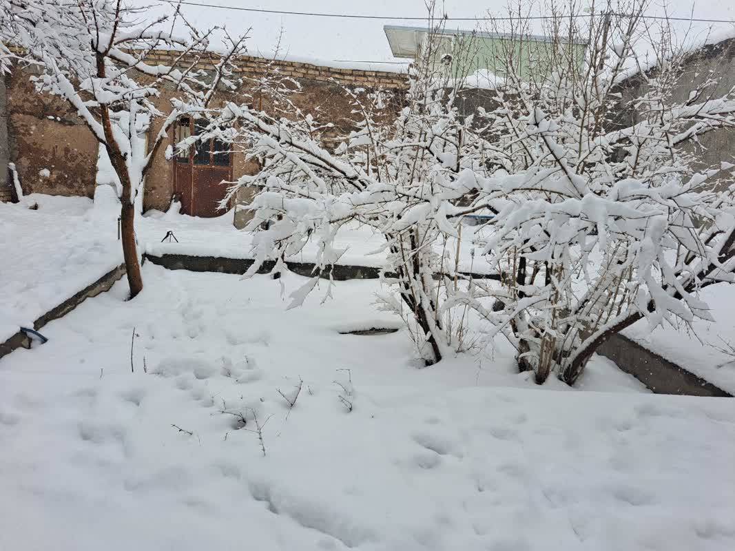 نمای زمستانی روستای مرغ چوییه