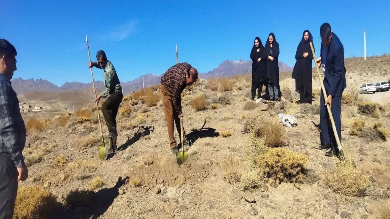 کاشت بذر بادام کوهی در ۳ هکتار از اراضی رابر