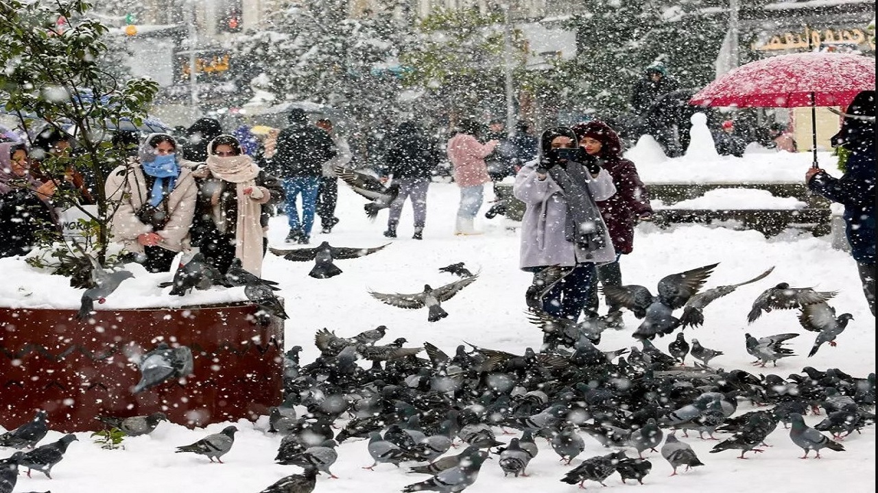 برخی مدارس گیلان فردا تعطیل است