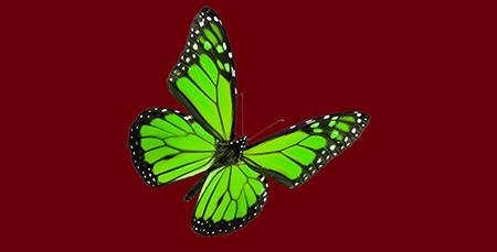 پروانه ۴: دوگانگی و اصالت