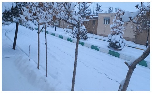 یک روز برفی در خراسان جنوبی