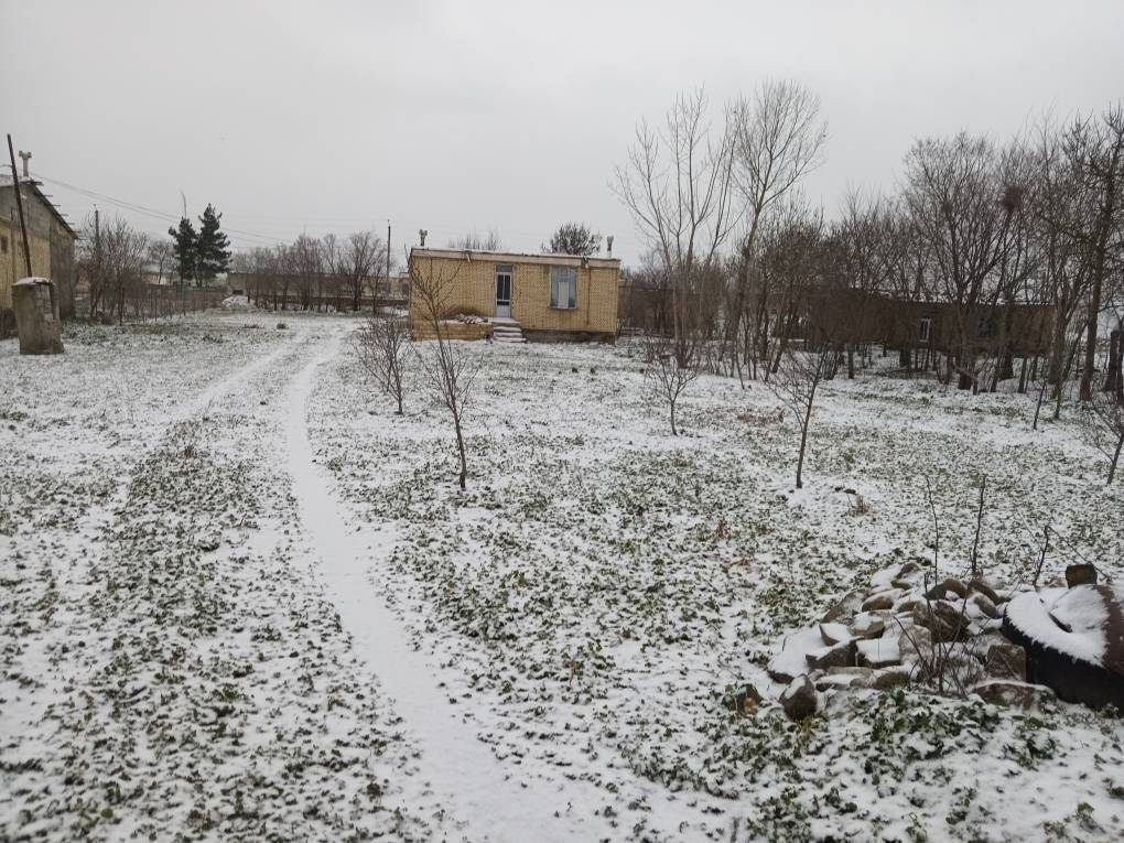 طبیعت زمستانی