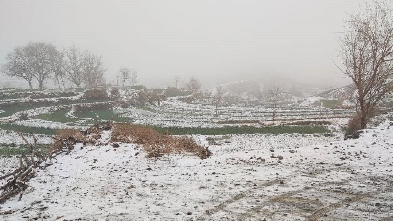 بارش برف روستای مرزی تجشک را سفید پوش کرد + فیلم