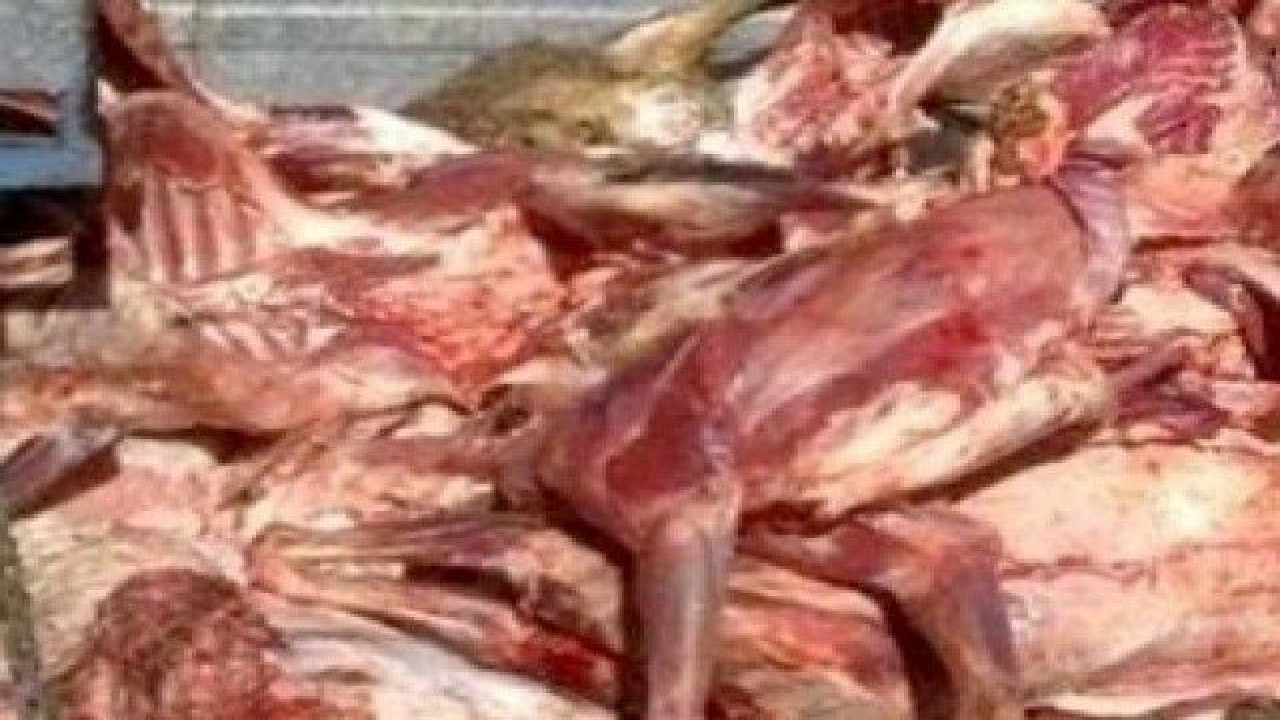 توقيف اتوبوس حامل گوشت فاقد مجوز در رودبار