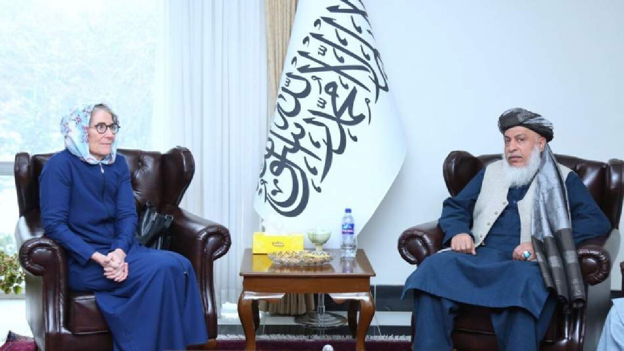با صلیب سرخ همکاری می کنیم