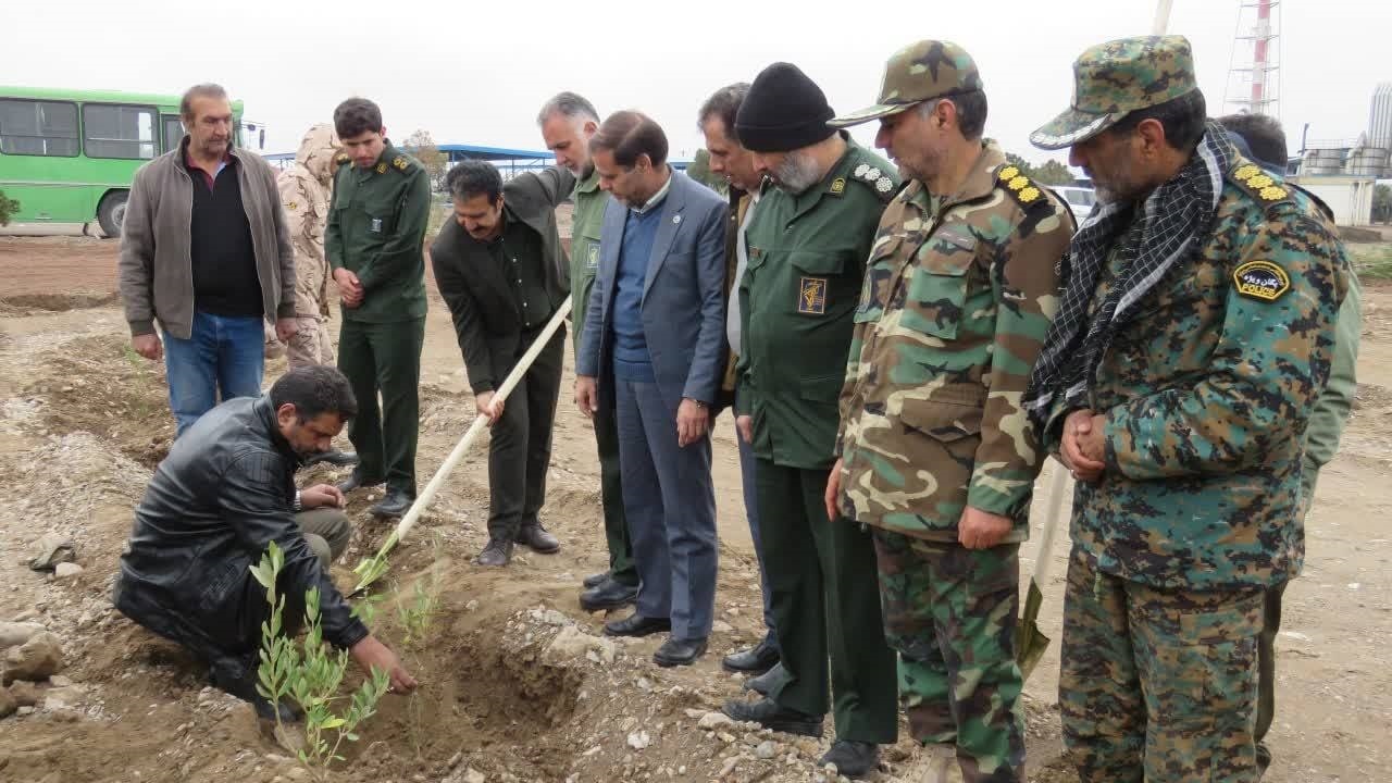 کاشت ۵۰۰ هزار نهال در کرمان آغاز شد