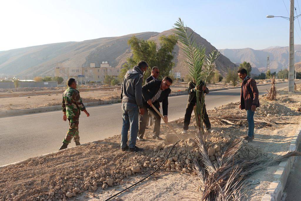 کاشت نهال در لارستان