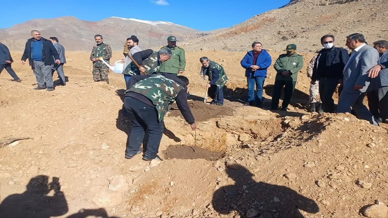 کاشت ۳ هزار نهال مثمر در محوطه کارخانه سیمان خوی + تصاویر