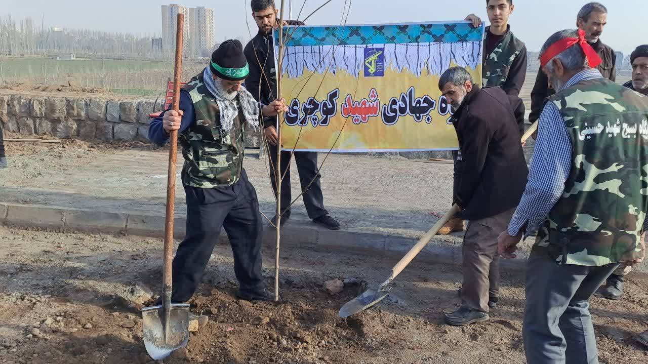 کاشت نهال