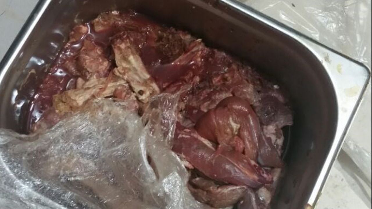 کشف و معدوم‌سازی ۴ هزار کیلوگرم مواد غذایی فاسد در تربت حیدریه
