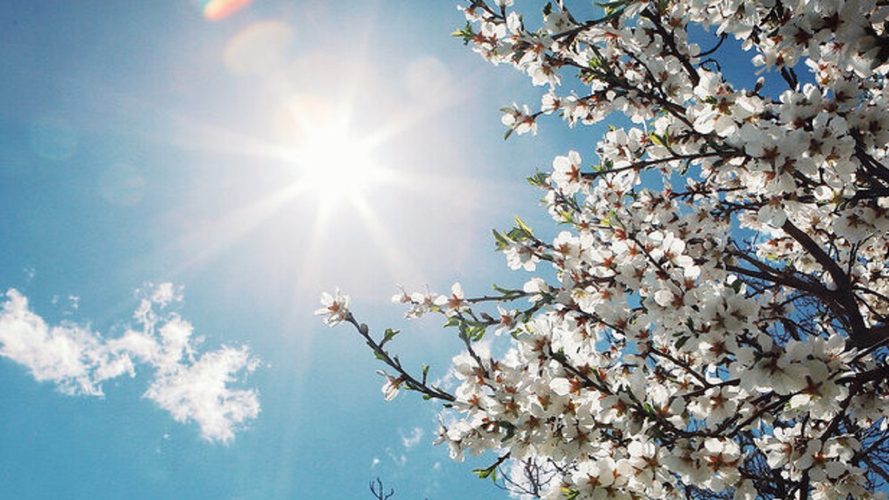 افزایش حدود ۳ تا ۴ درجه ای دما  نسبت به دیروز
