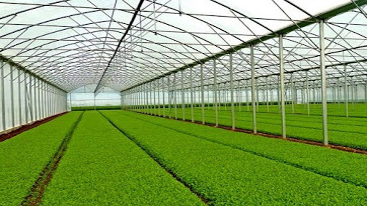 بخشودگی خسارت تأخیر اجاره بها برای مستاجران اراضی دولتی