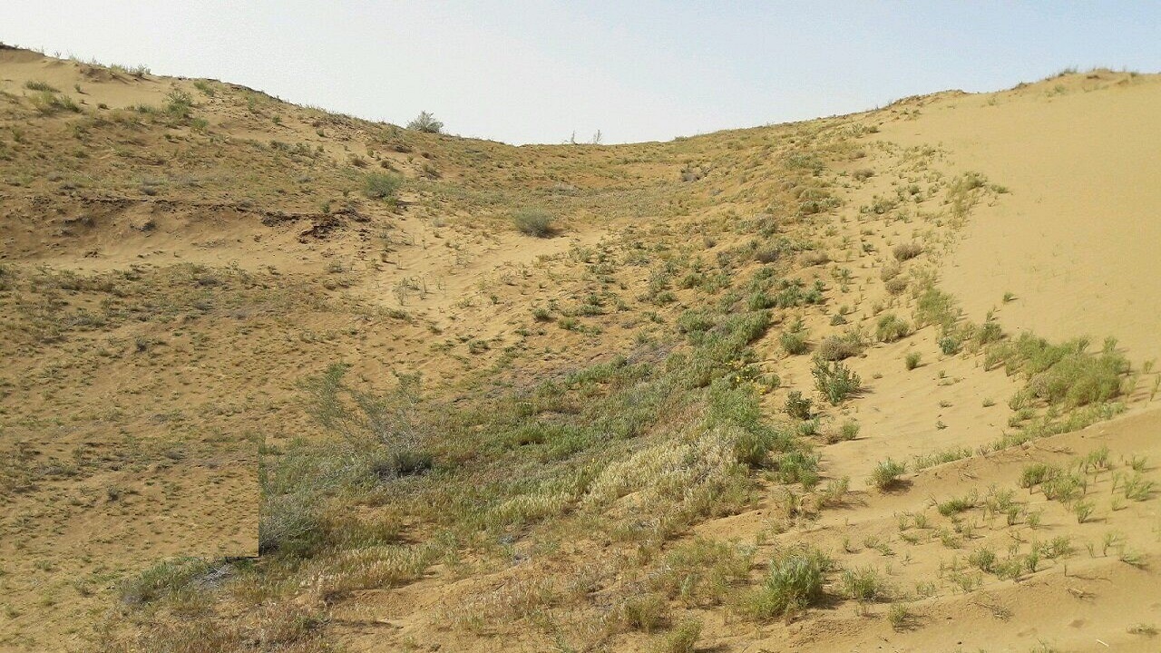 تبدیل عرصه‌های مرتعی به بیابان در کشور رو به گسترش است