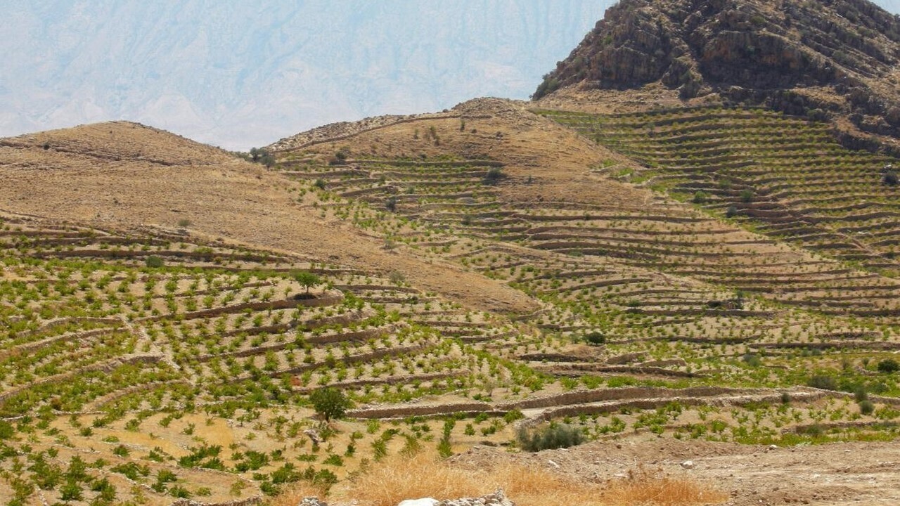 واگذاری بخشی از اراضی لرستان برای طرح‌های کشاورزی