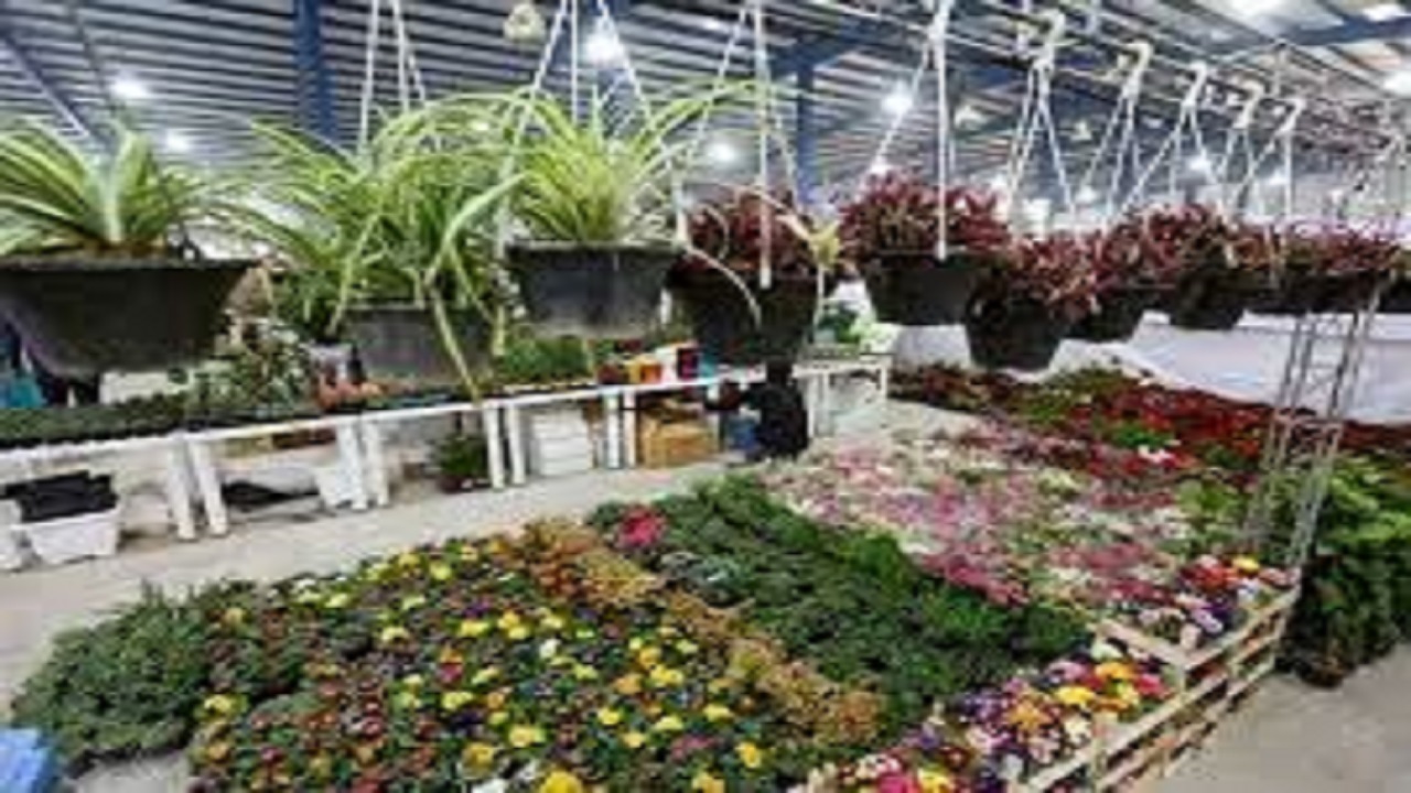 برپایی نمایشگاه گل و گیاه در قزوین 
