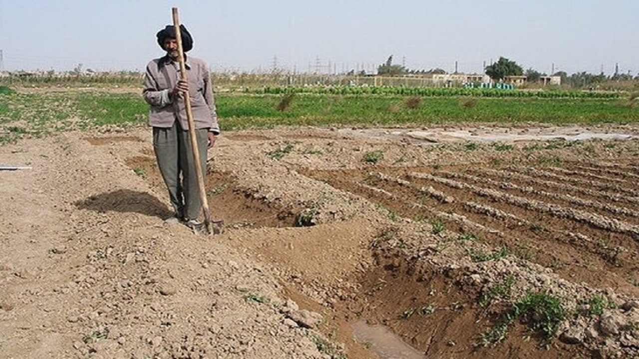 ۴۳۱ میلیارد تومان خسارت بارش‌های شدید بهاره به بخش کشاورزی