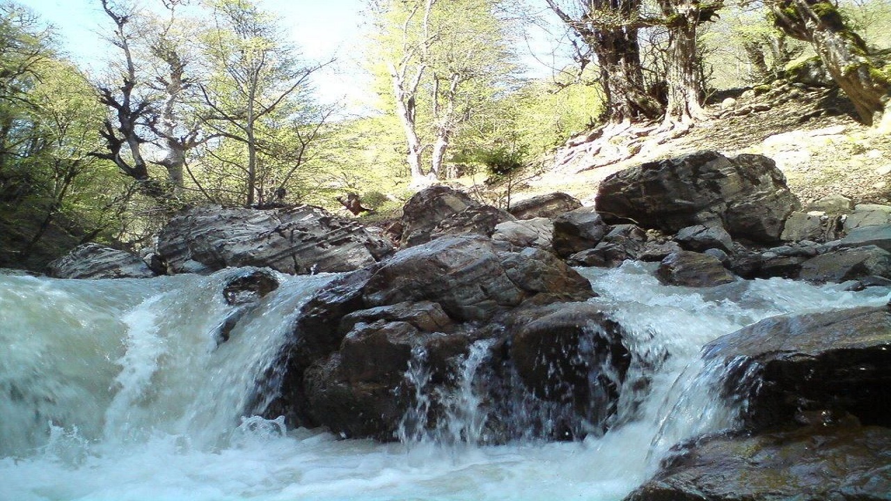 یک نوجوان پره سری در رودخانه شفارود غرق شد