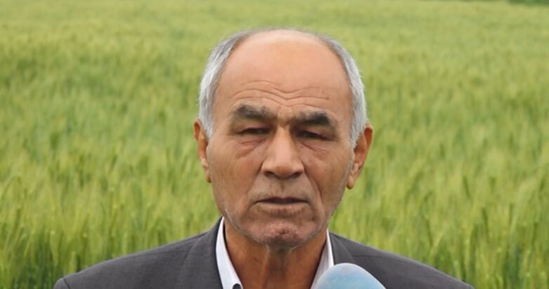 علیقلی ایمانی