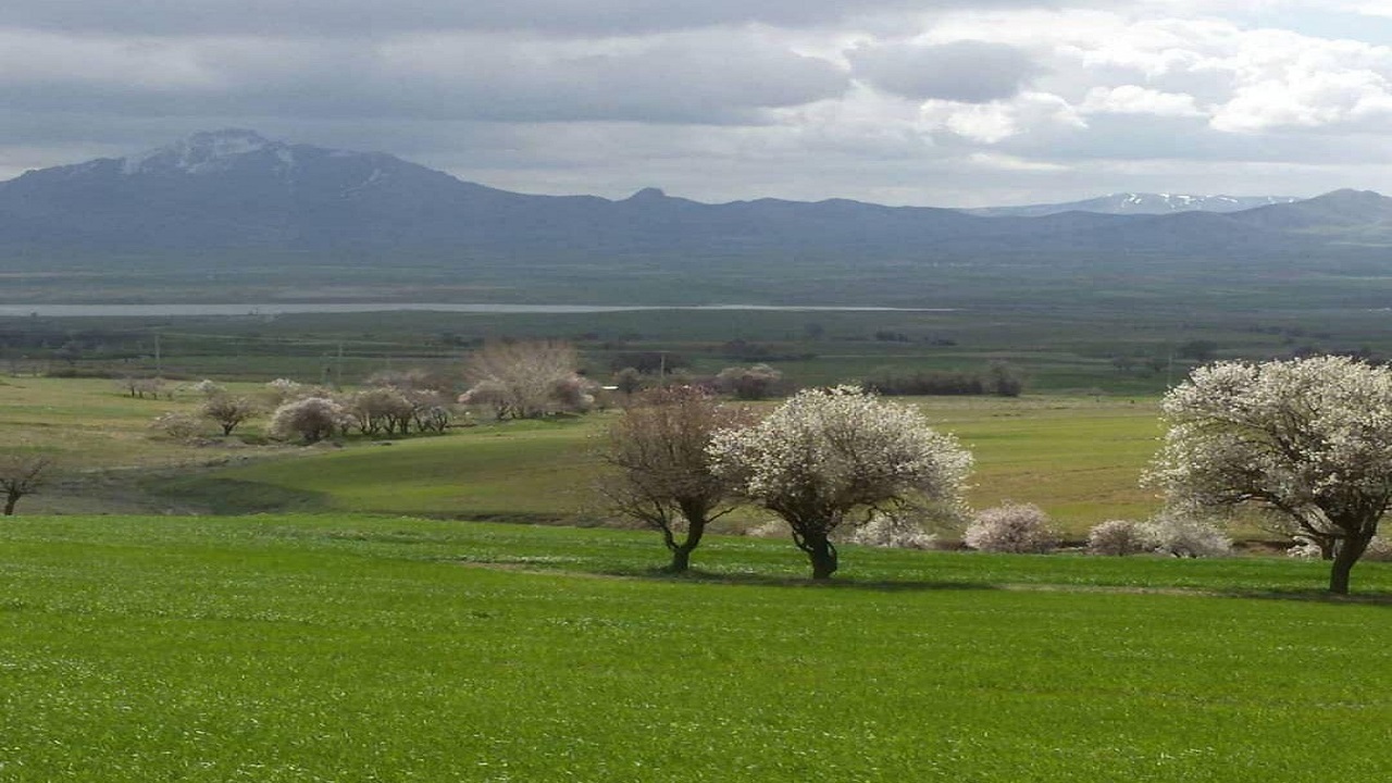 نمایی از طبیعت بهاری روستای سرنجیانه قروه + فیلم
