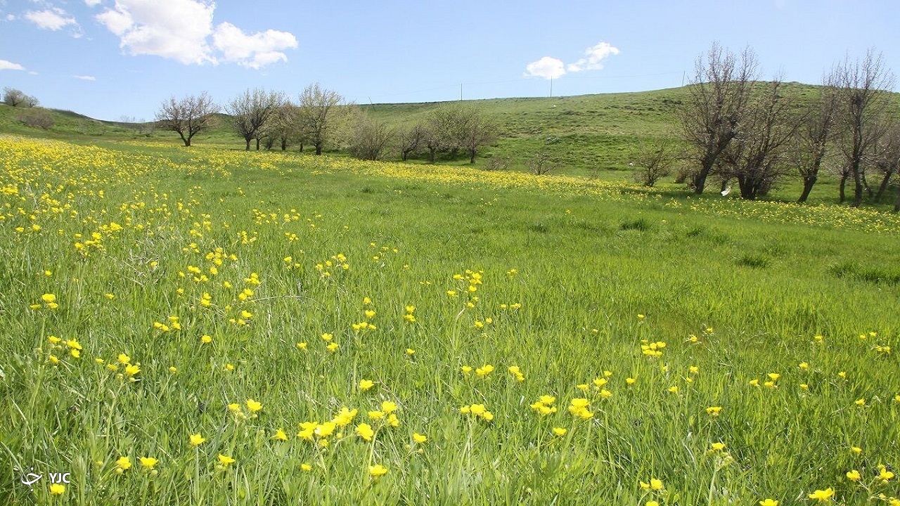 کاهش ۶ درجه‌ای دمای هوا در جنوب آذربایجان‌غربی