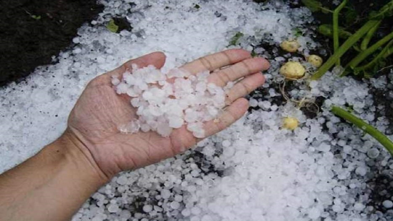 فیلمی از بارش تگرگ در روستای عبابیگلو موران