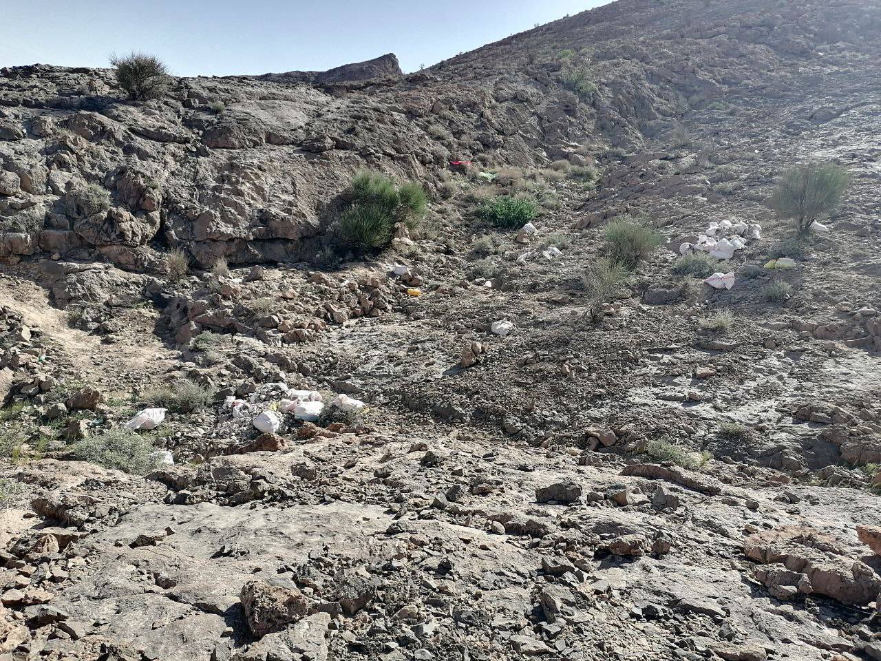 منابع طبیعی طبس