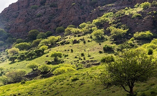 طبیعت بهاری دره خان ارومیه+تصاویر
