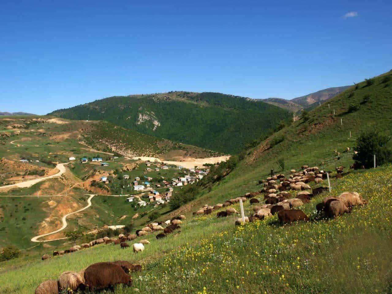 طبیعت روستایی