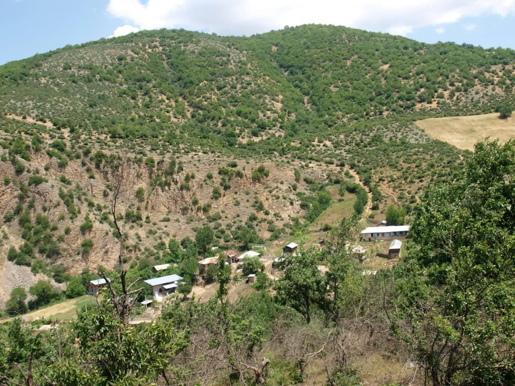 طبیعت سرسبز