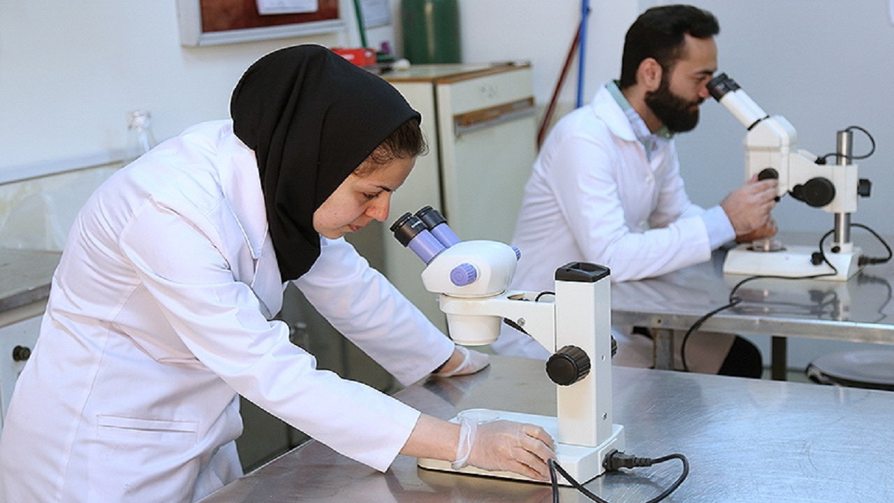 تدوین سیستم جامع رتبه بندی در حوزه آموزش پزشکی