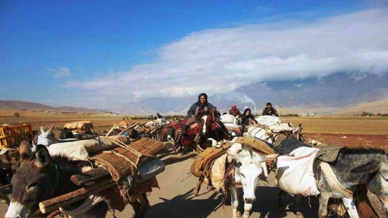 آغاز ورود عشایر به مراتع همدان