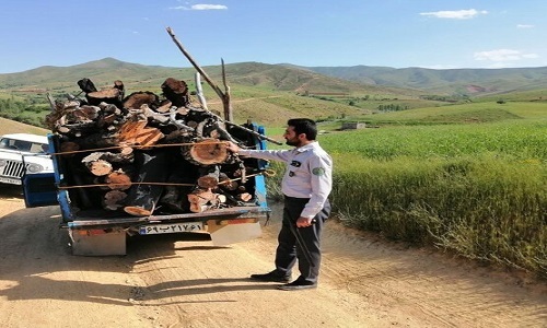 قاچاق چوب قاچاق چوب