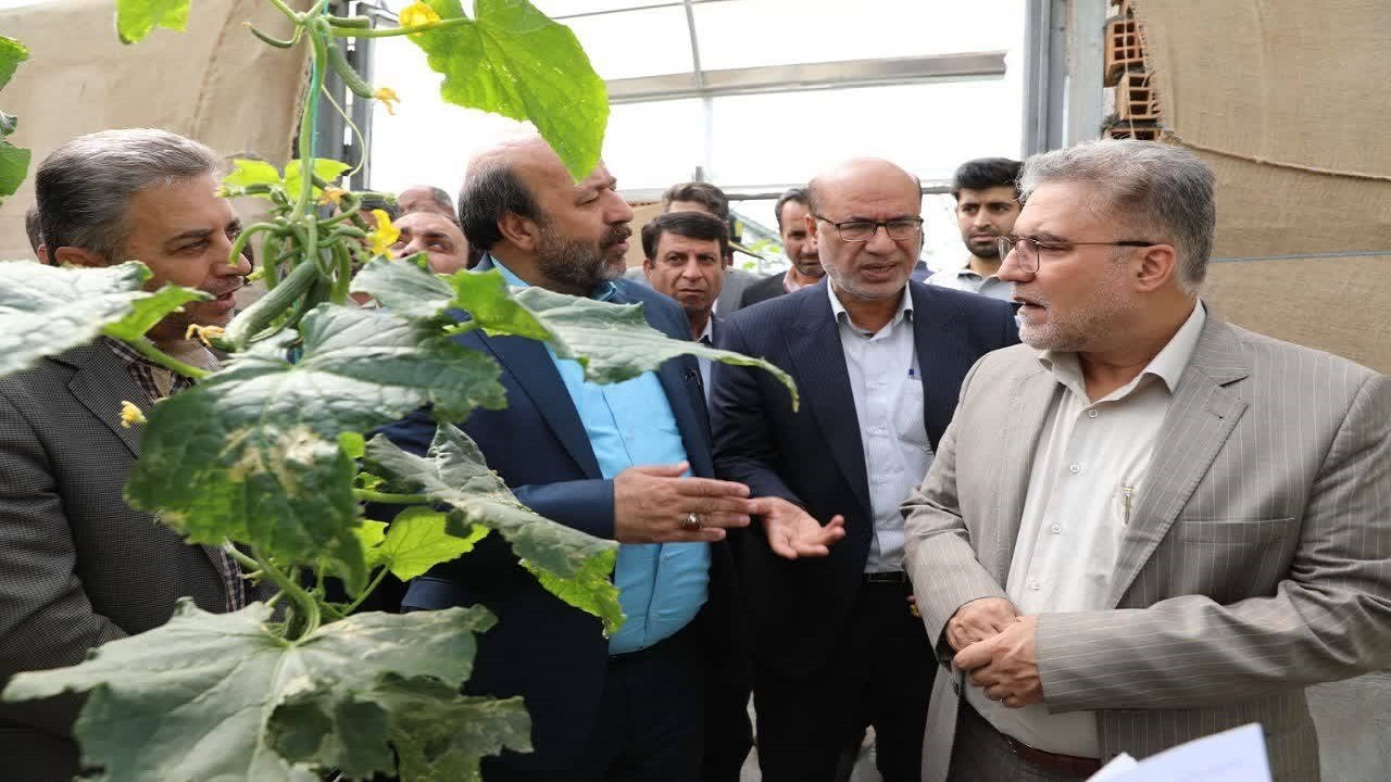 گلخانه‌ها نقش مهمی در تولید و اشتغالزایی دارند