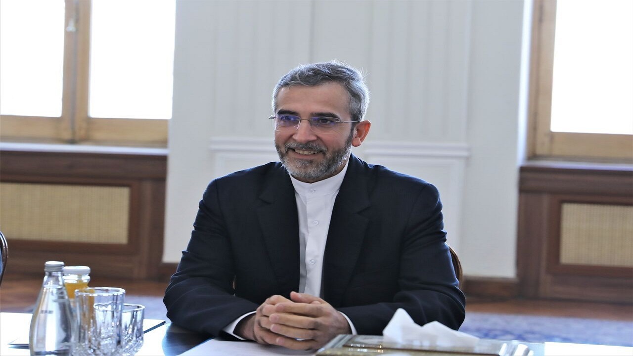 معاون دبیرکل وزارت خارجه ایرلند با علی باقری دیدار کرد