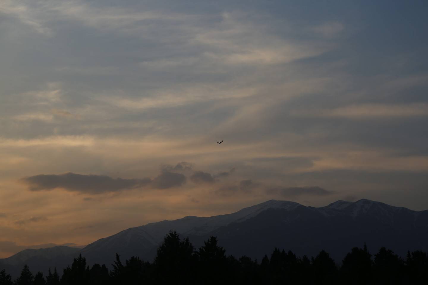 مناظر طبیعی شرق تهران