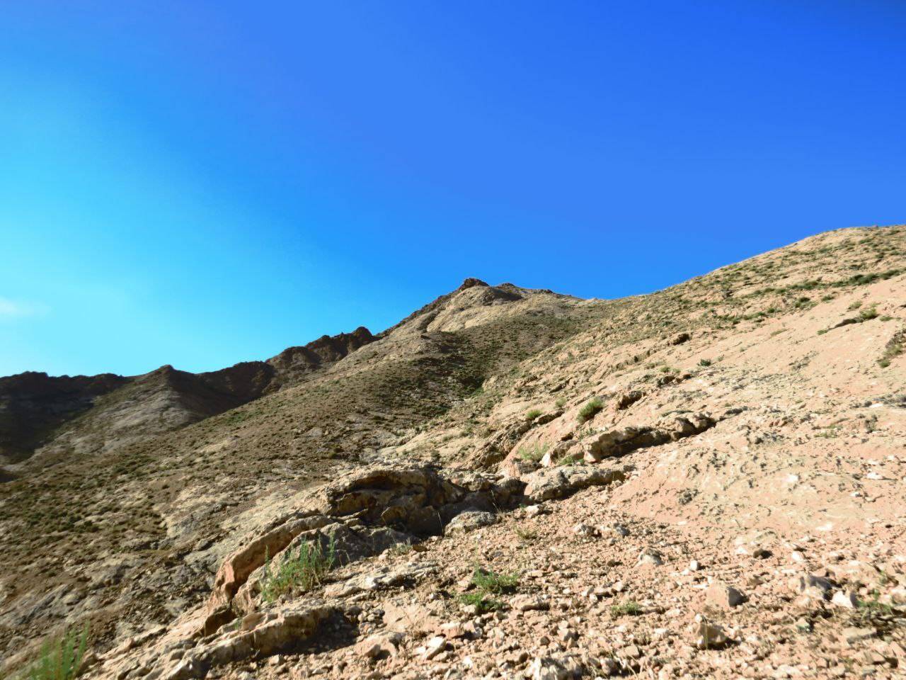 کوه