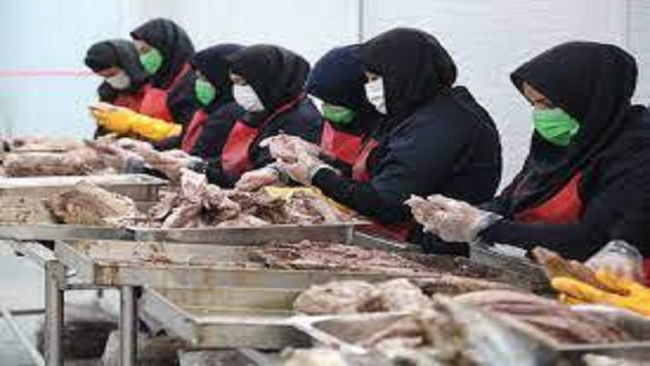طرحی جدید برای استفاده کارفرمایان کارگاه‌های تولیدی وخدماتی ازنیروی کارجدید