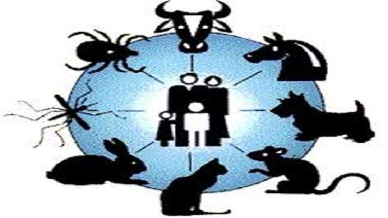 سل گاوی در کنار سل انسانی عمده‌ترین منابع عفونت انتقال از دام به انسان