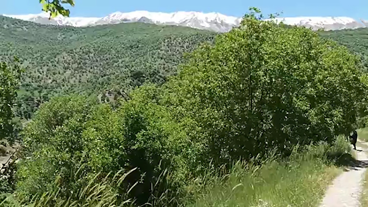 طبیعت بکر بازفت و صمصامی + فیلم