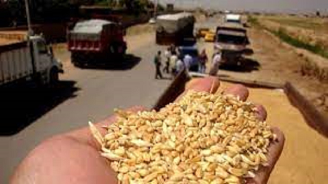 هرگونه خروج گندم از امیدیه قاچاق محسوب می‌شود 